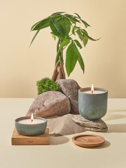 CANDLE Jungle South