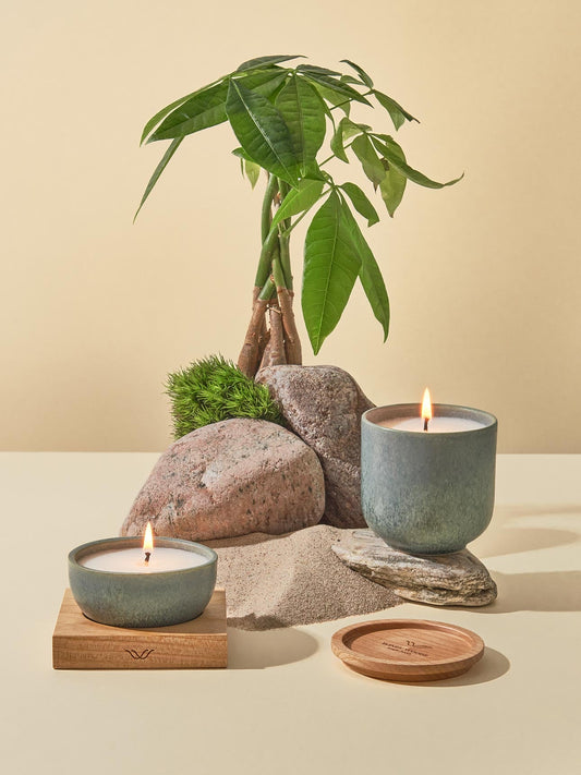 CANDLE Jungle South